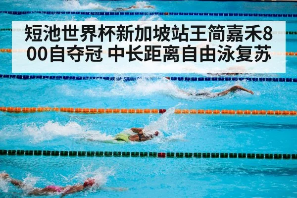 短池世界杯新加坡站王简嘉禾800自夺冠 中长距离自由泳复苏